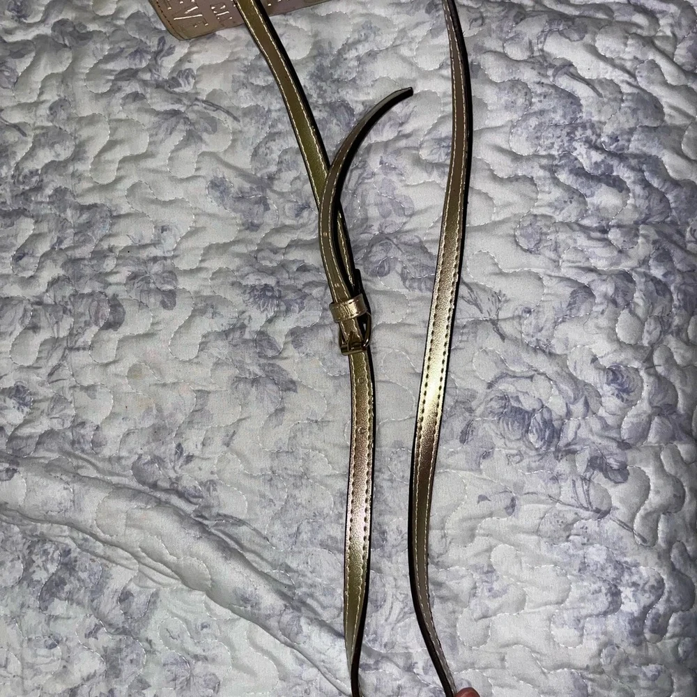 Steve Madden Metallic Crossbody Bag